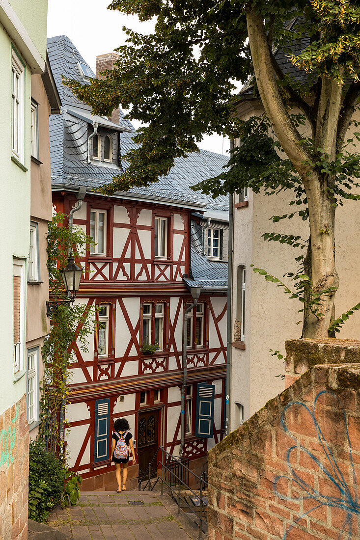 Der Schloßsteig führt zwischen Fachwerkhäusern hindurch, Marburg, Hessen, Deutschland, Europa