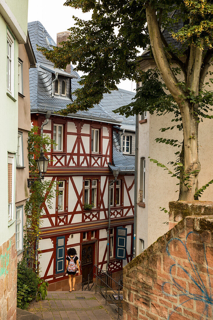 The Schloßsteig leads between half-timbered houses, Marburg, Hesse, Germany, Europe