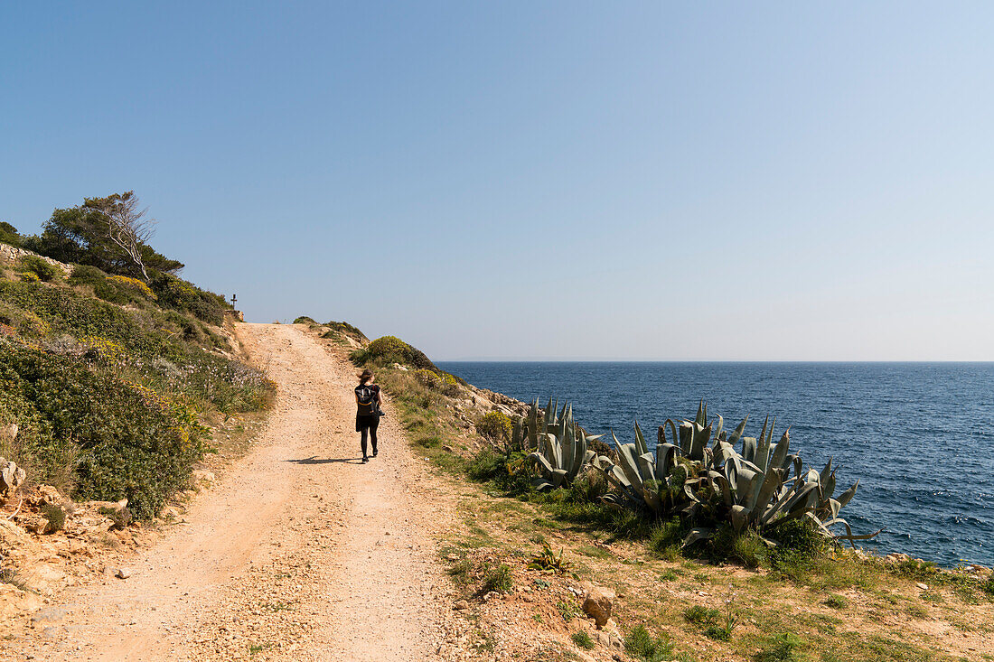 Frau wandert auf einer Schotterstraße zwischen Kakteen mit Blick zum Meer, Levanzo, Ägadischen Inseln, Trapani, Sizilien, Italien, Europa