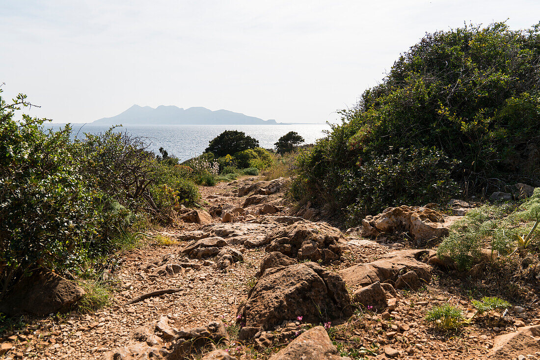 Steiniger Wanderpfad mit Blick zur Nachbarinsel Favignana, Levanzo, Ägadischen Inseln, Trapani, Sizilien, Italien, Europa
