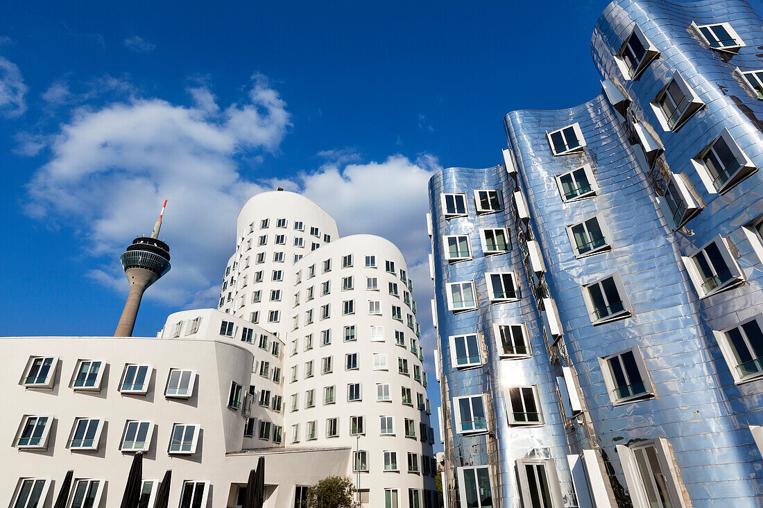Fernsehturm und Neuer Zollhof von Frank O. Gehry, Medienhafen, Düsseldorf, Nordrhein-Westfalen, Deutschland