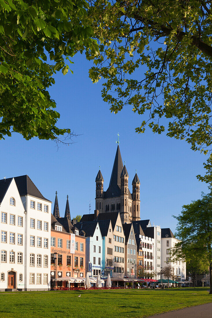 Hausfassaden in der Altstadt am Rheinufer, Kirche Groß St. Martin, Köln, Nordrhein-Westfalen, Deutschland
