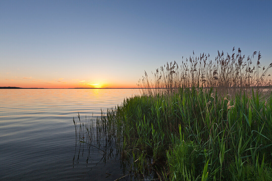 Kölpinsee, Müritz-Elde-Wasserstrasse, Mecklenburgische Seenplatte, Mecklenburg-Vorpommern, Deutschland