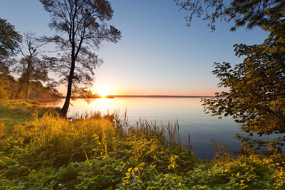 Morning mood at lake Mueritz, Mueritz-Elde-Wasserstrasse, Mecklenburgische Seenplatte, Mecklenburg-West Pomerania, Germany