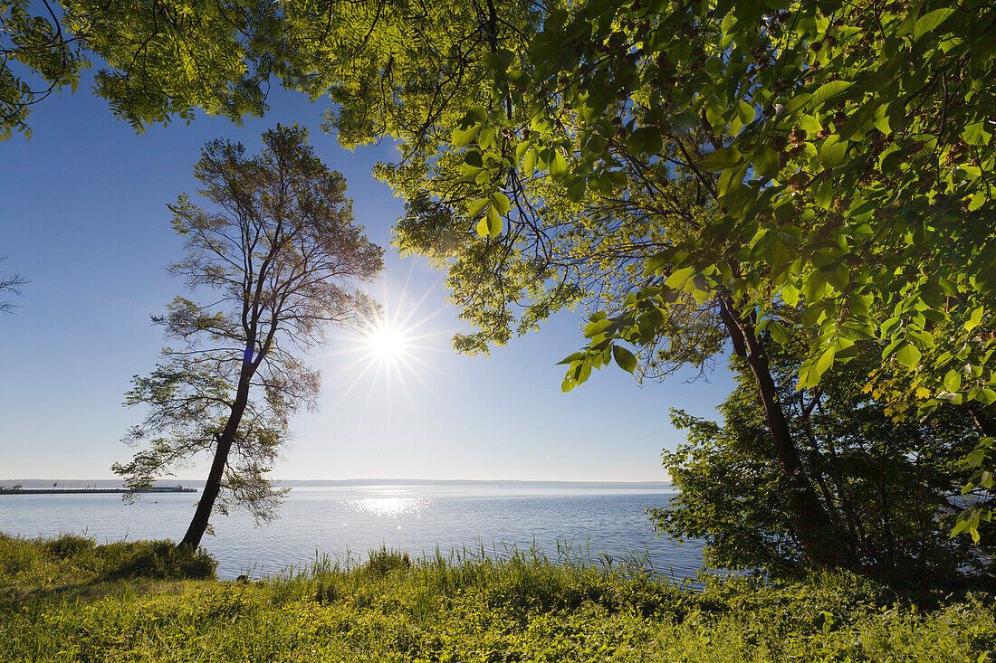 Morgenstimmung an der Müritz, Müritz-Elde-Wasserstrasse, Mecklenburgische Seenplatte, Mecklenburg-Vorpommern, Deutschland