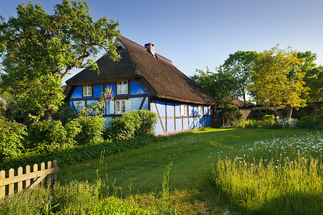 House with thatched roof, Warthe, Lieper Winkel, Usedom, Baltic Sea, Mecklenburg-West Pomerania, Germany