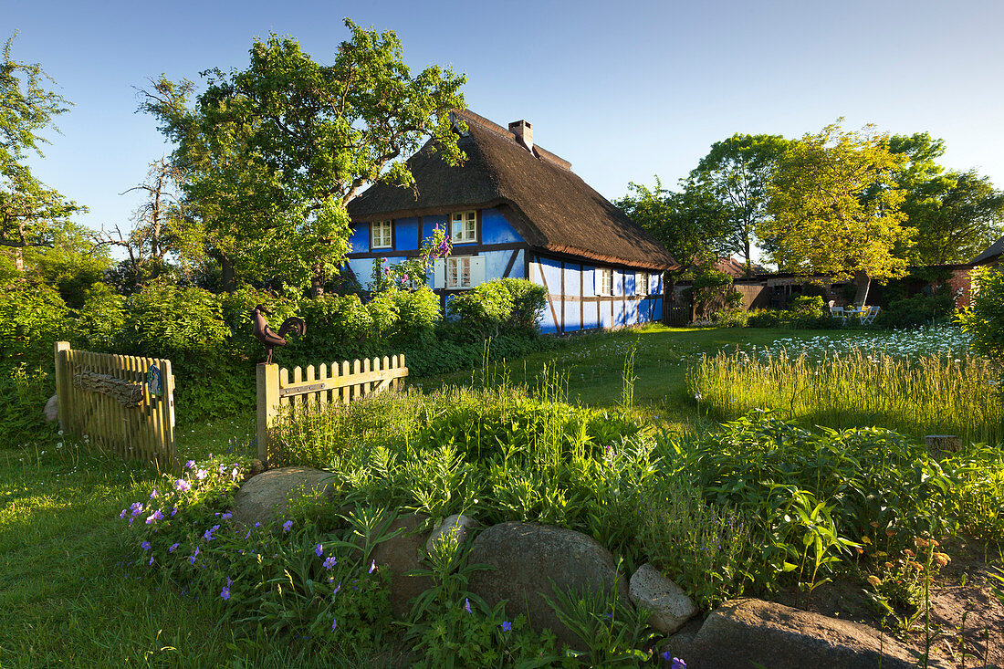 Reetdachhaus, Warthe, Lieper Winkel, Usedom, Ostsee, Mecklenburg-Vorpommern, Deutschland