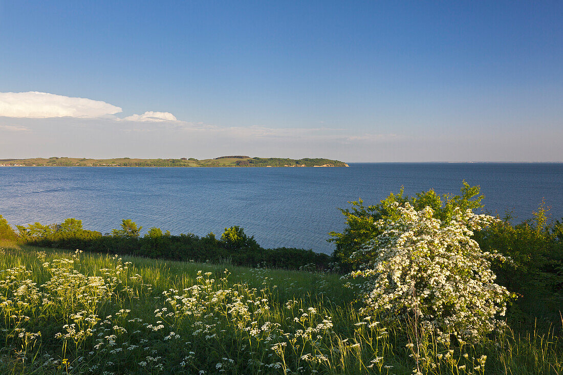 Blick über die Hagensche Wiek zur Halbinsel Mönchgut, Rügen, Ostsee, Mecklenburg-Vorpommern, Deutschland