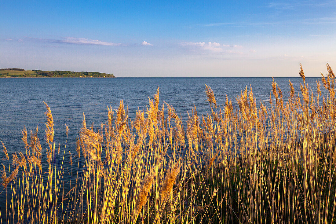 Blick über die Hagensche Wiek zur Halbinsel Mönchgut, Rügen, Ostsee, Mecklenburg-Vorpommern, Deutschland