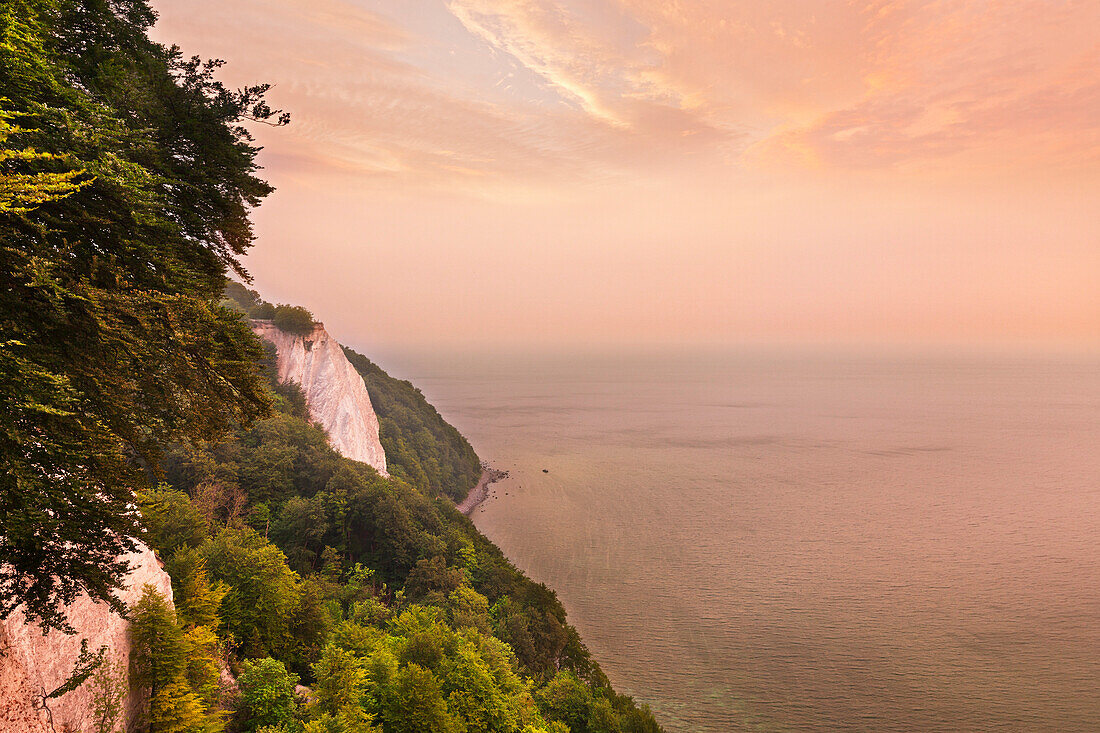 Blick zum Königsstuhl, Kreidefelsen, Nationalpark Jasmund, Rügen, Ostsee,  Mecklenburg-Vorpommern, Deutschland