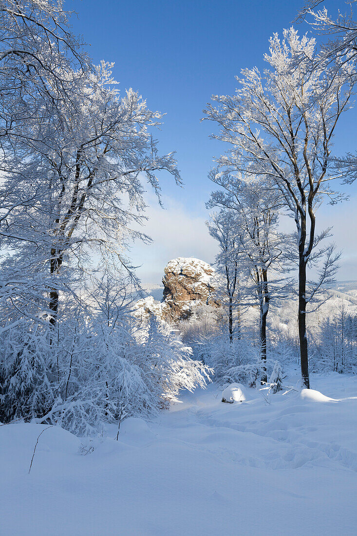 Blick zum Bornstein, Bruchhauser Steine, bei Olsberg, Rothaarsteig, Rothaargebirge, Sauerland, Nordrhein-Westfalen, Deutschland