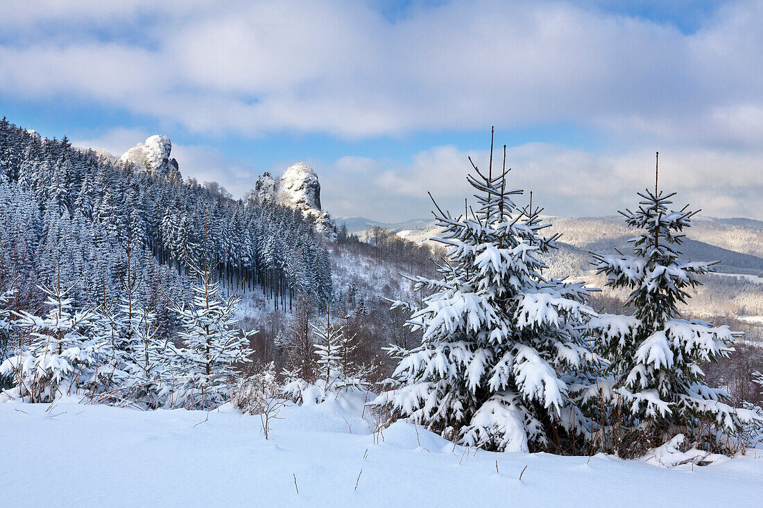 Blick zu den Bruchhauser Steinen, bei Olsberg, Rothaarsteig, Rothaargebirge, Sauerland, Nordrhein-Westfalen, Deutschland