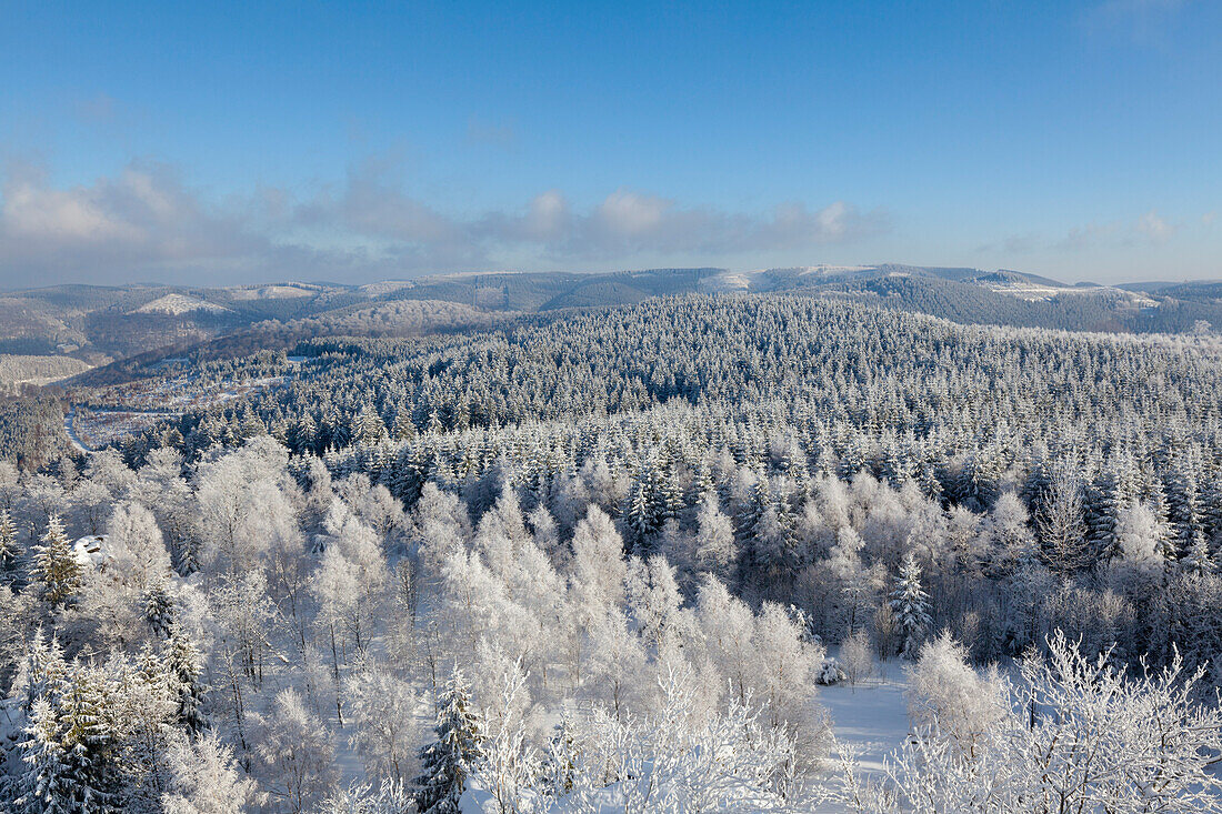 Blick vom Feldstein, Bruchhauser Steine, bei Olsberg, Rothaarsteig, Rothaargebirge, Sauerland, Nordrhein-Westfalen, Deutschland