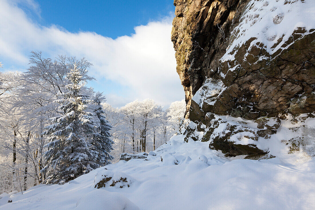 Am Feldstein, Bruchhauser Steine, bei Olsberg, Rothaarsteig, Rothaargebirge, Sauerland, Nordrhein-Westfalen, Deutschland