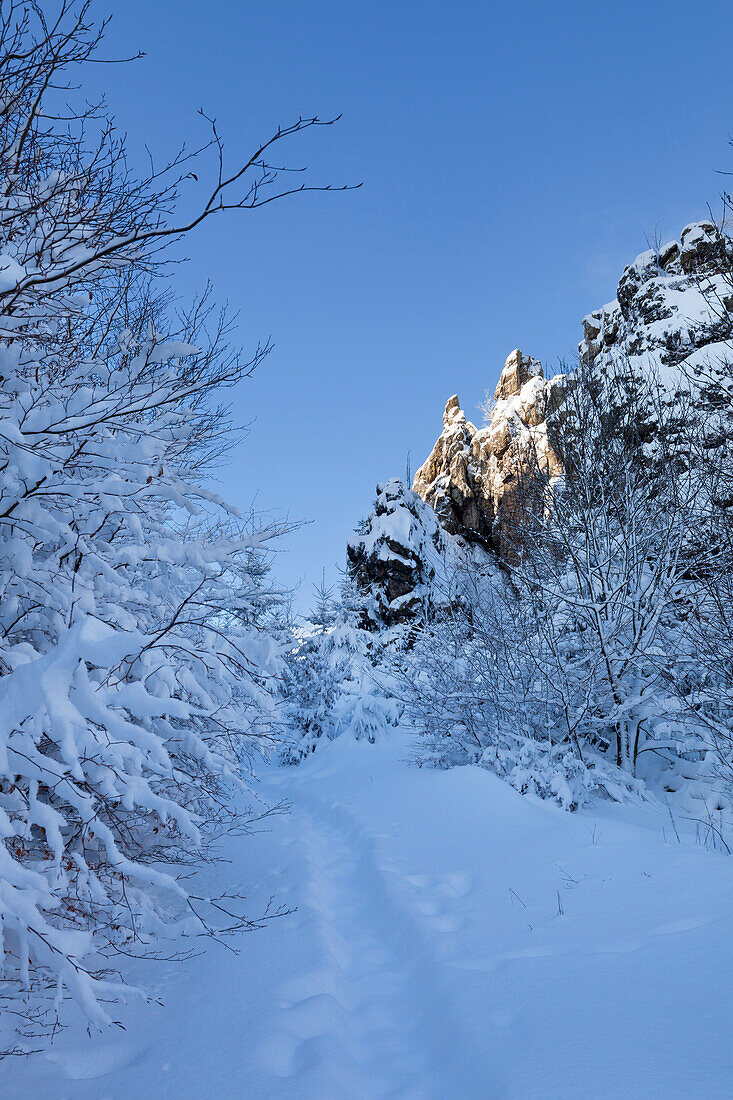 Bornstein, Bruchhauser Steine, bei Olsberg, Rothaarsteig, Rothaargebirge, Sauerland, Nordrhein-Westfalen, Deutschland