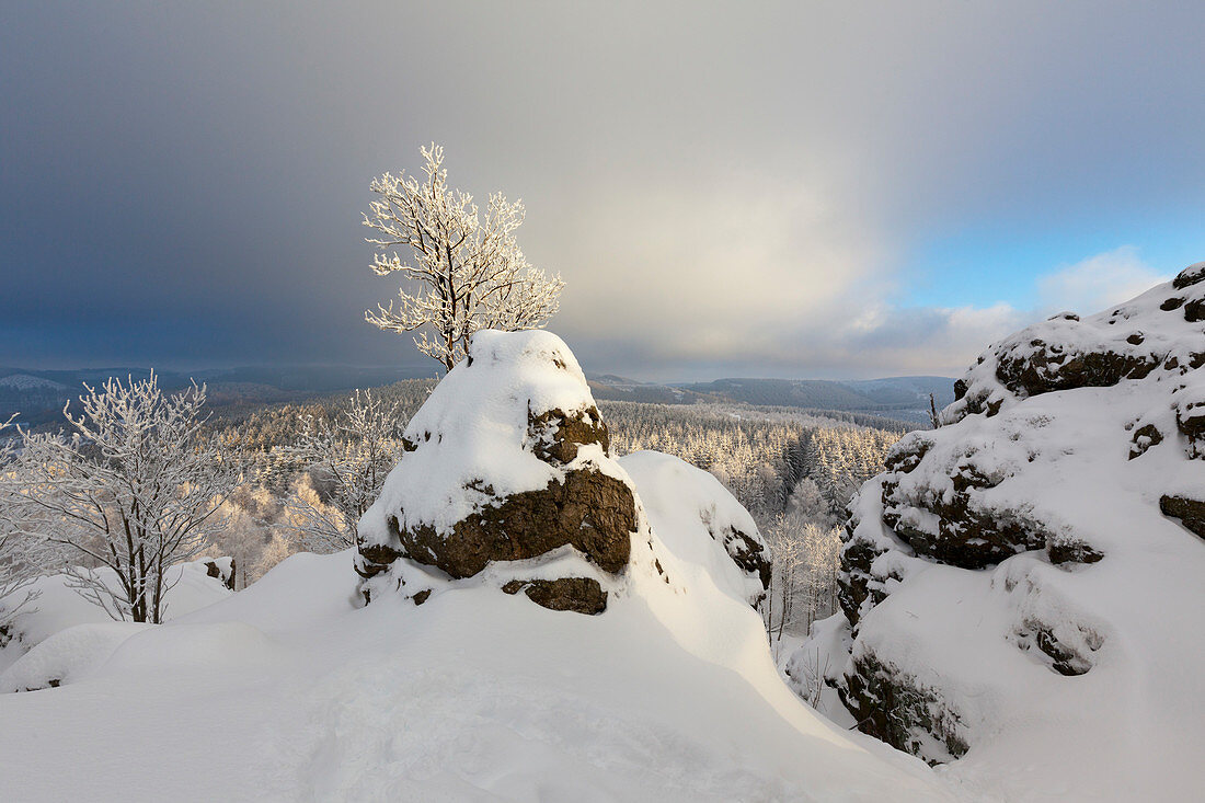 Blick vom Feldstein, Bruchhauser Steine, bei Olsberg, Rothaarsteig, Rothaargebirge, Sauerland, Nordrhein-Westfalen, Deutschland