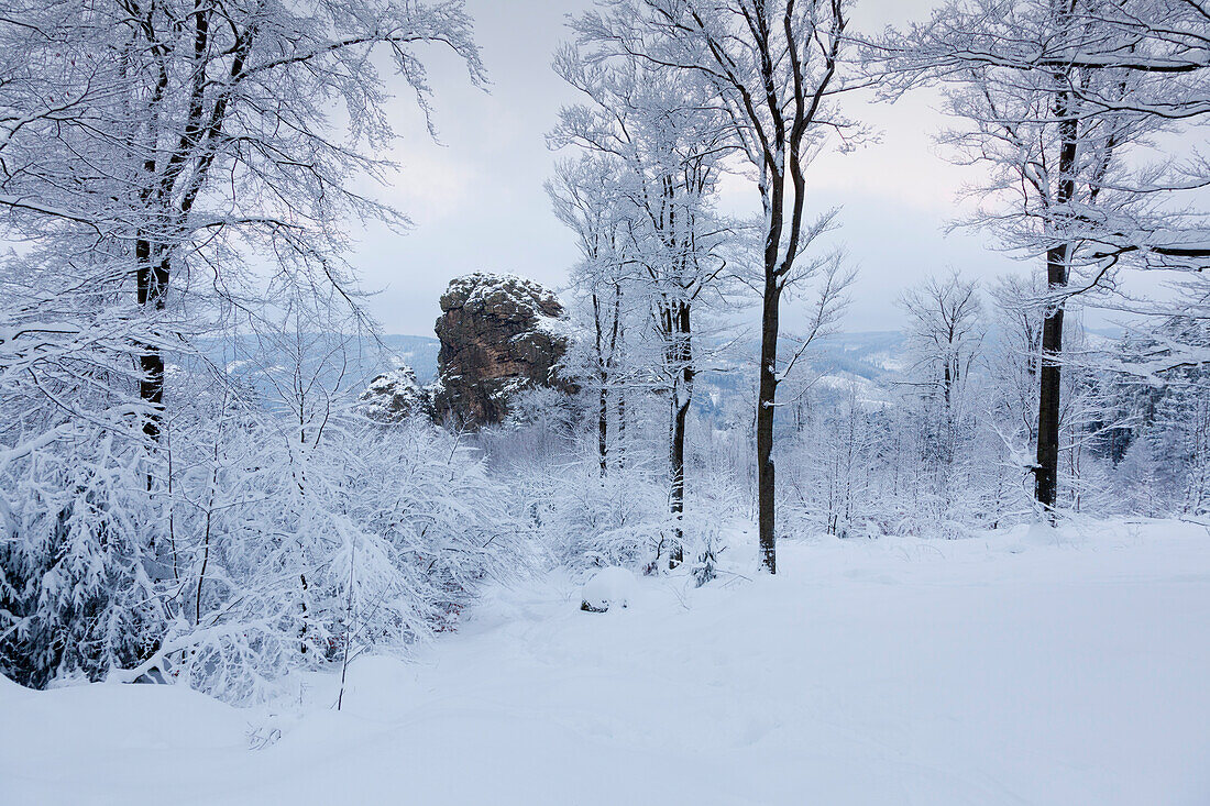 Blick zum Bornstein, Bruchhauser Steine, bei Olsberg, Rothaarsteig, Rothaargebirge, Sauerland, Nordrhein-Westfalen, Deutschland