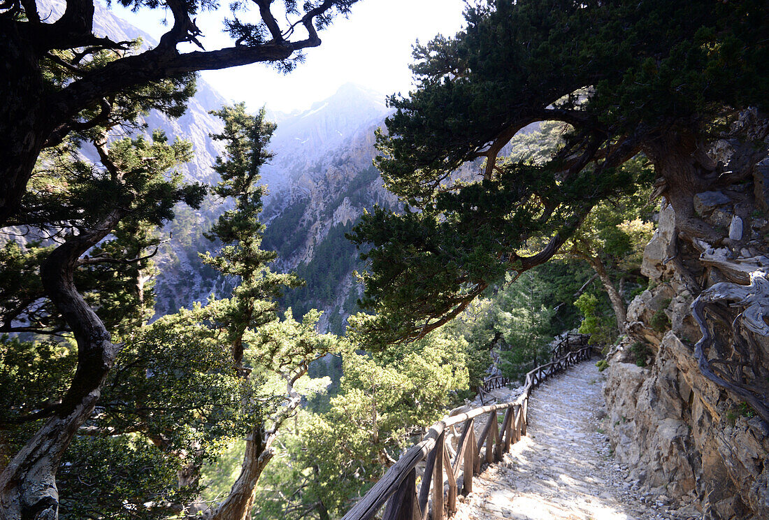 am obernen Einstieg in die Samariá Schlucht, West- Kreta, Griechenland