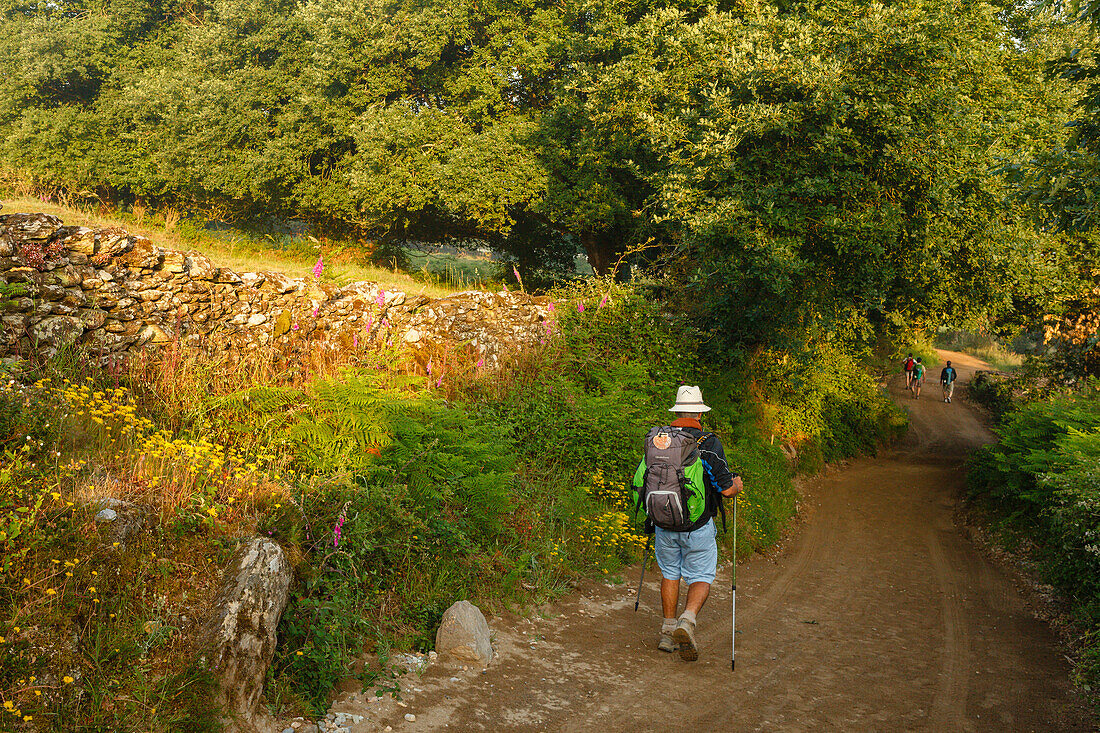 Pilger bei Parrocha, bei Portomarin, Camino Frances, Jakobsweg, Camino de Santiago, Pilgerweg, UNESCO Welterbe, europäischer Kulturweg, Provinz Lugo, Galicien, Nordspanien, Spanien, Europa