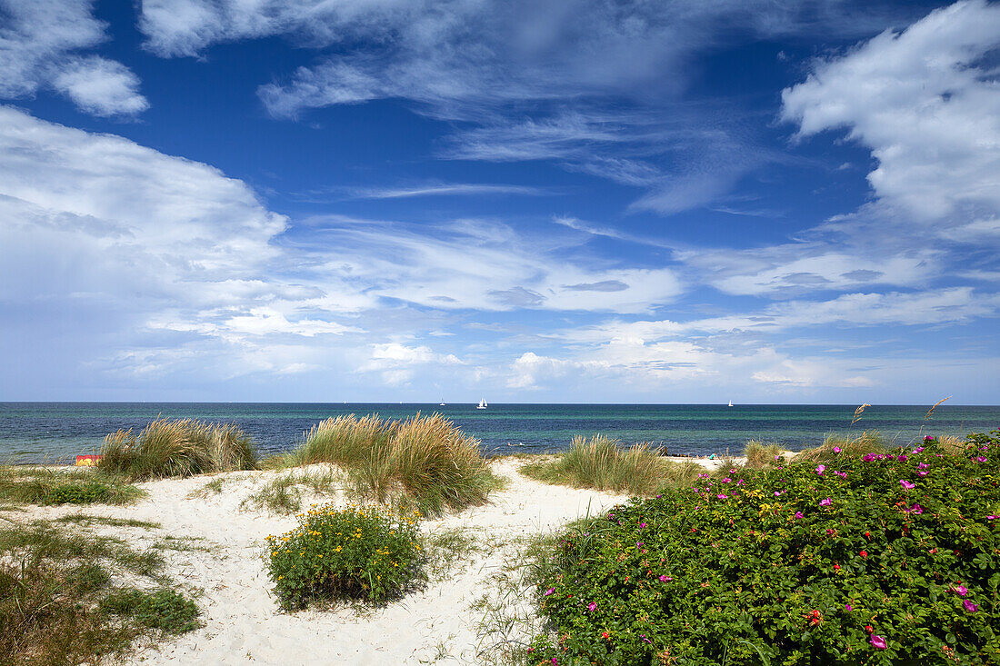 Baltic sea at Kuehlungsborn, Mecklenburg-Vorpommern, Germany