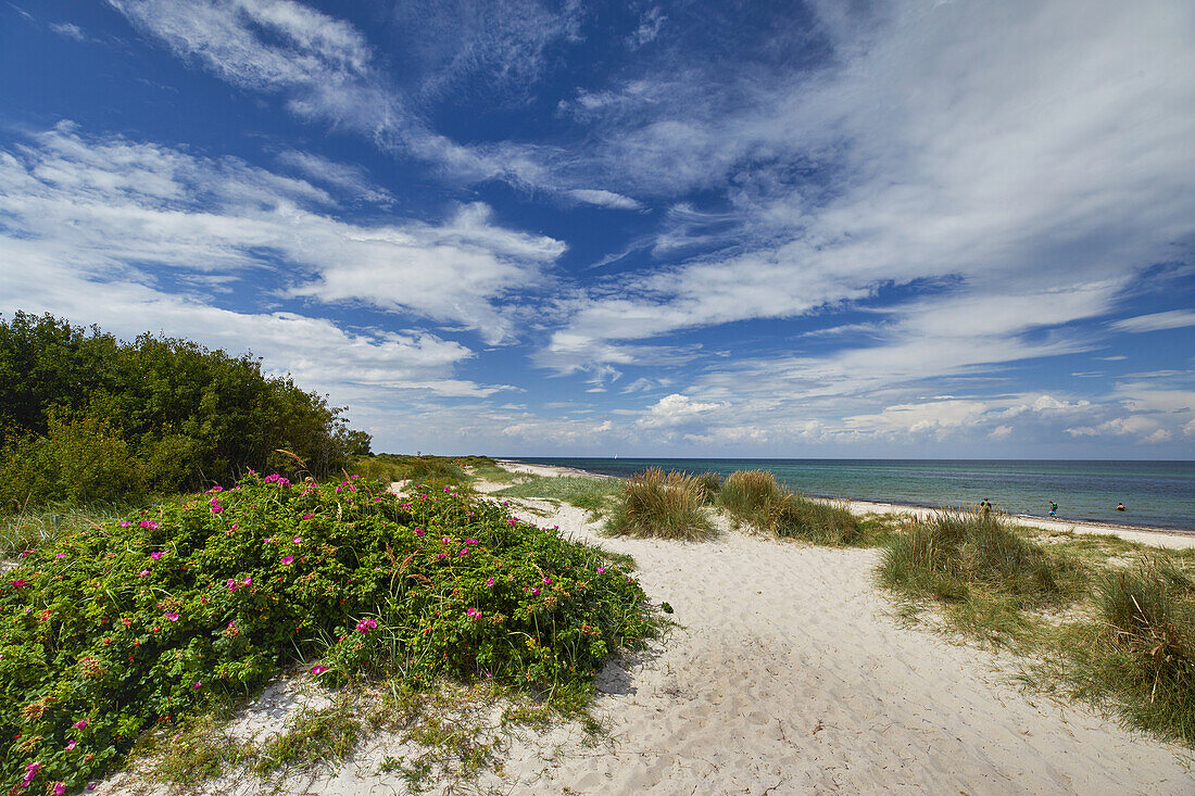 Ostseeküste bei Kühlungsborn, Mecklenburg Vorpommern, Deutschland