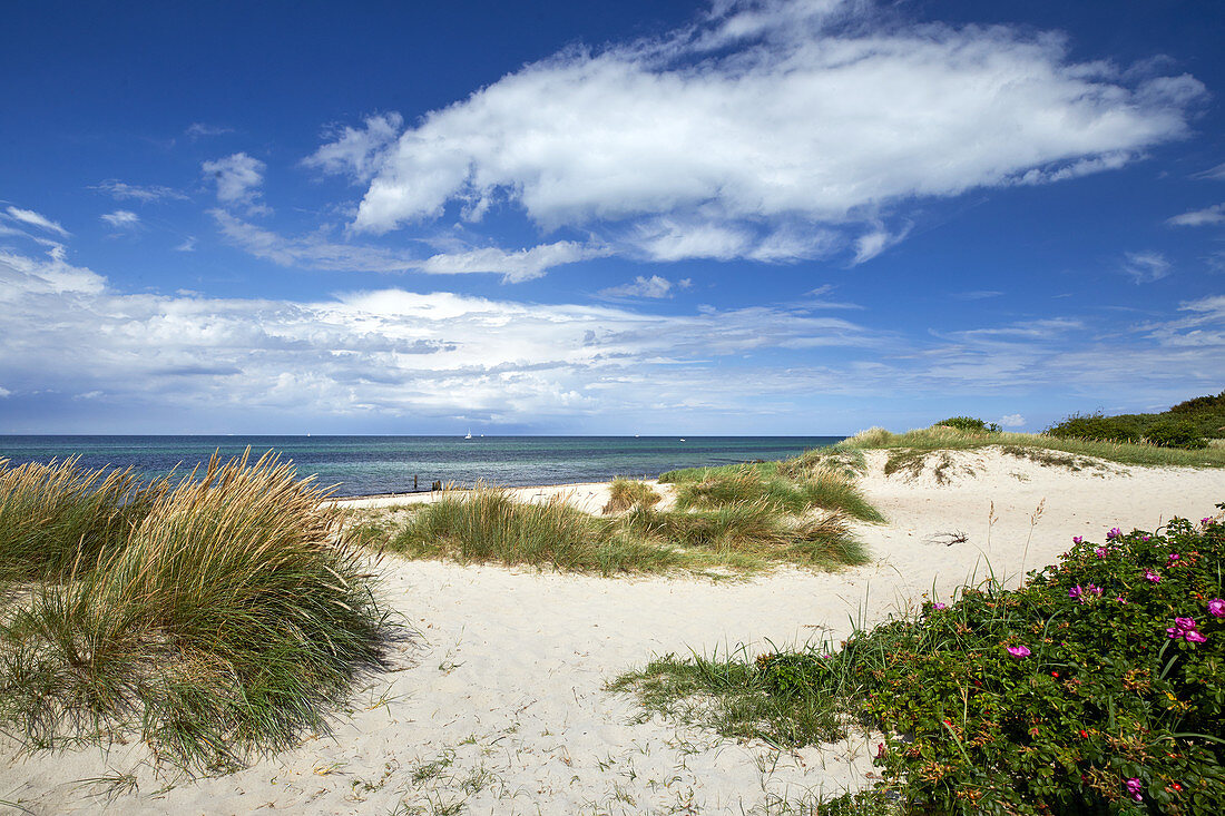 Ostseeküste bei Kühlungsborn, Mecklenburg Vorpommern, Deutschland