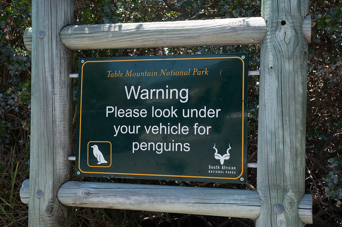 Warnzeichen für Ckeck für Pinguine unter Ihrem Fahrzeug, Parkplatz, in der Nähe von Boulders Beach, Kapstadt, Südafrika, Afrika