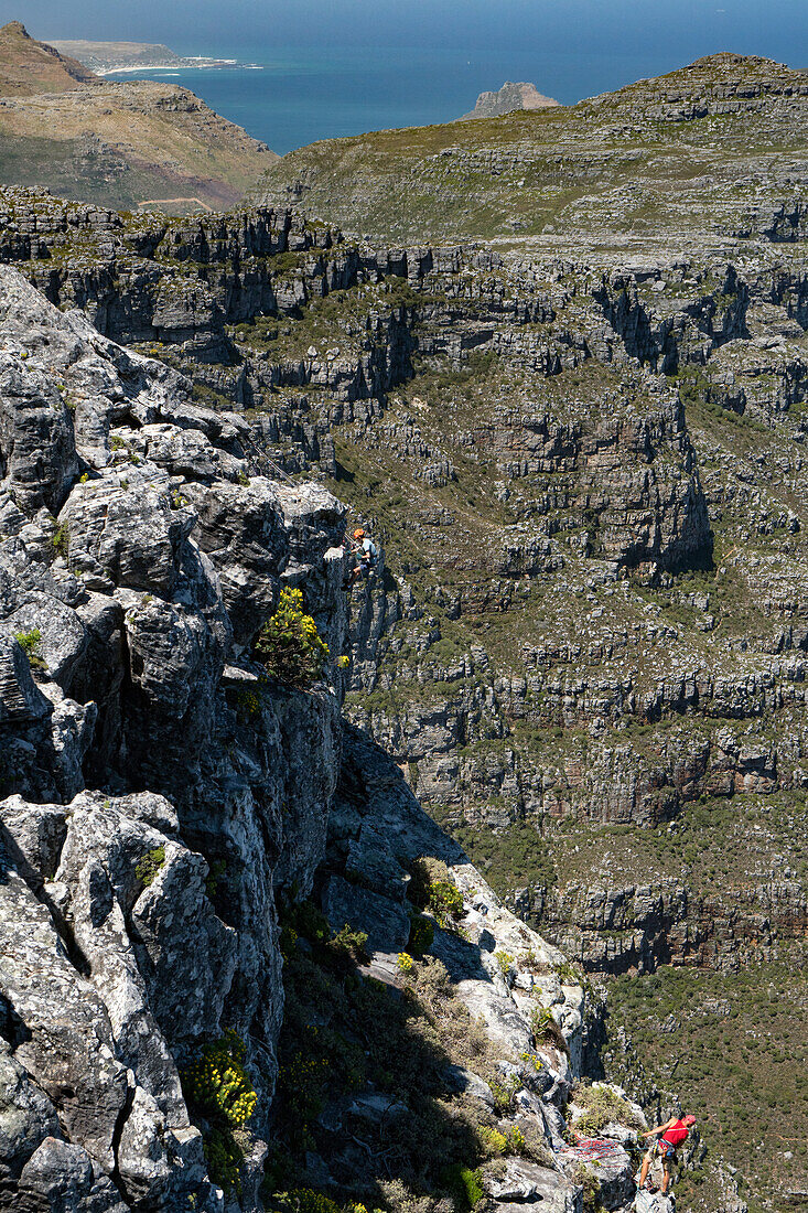 Two climbers descending from the top of Table Mountain, Cape Town, South Africa, Africa