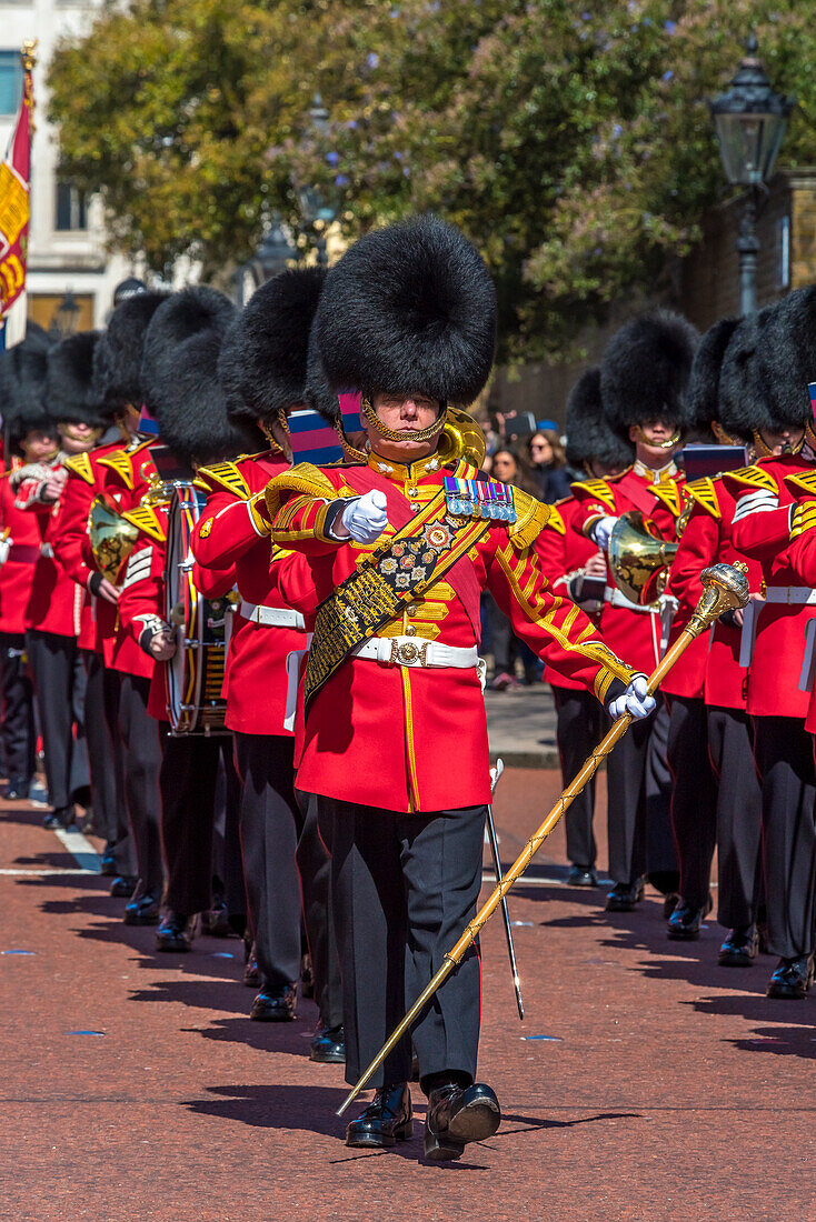 Changing of the Guard, Buckingham Palace, The Mall, London, England, United Kingdom, Europe