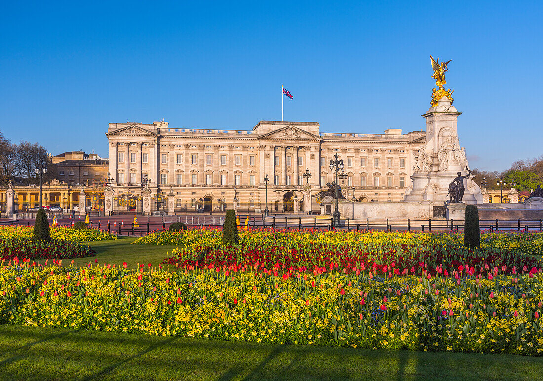 Buckingham Palace, London, England, United Kingdom, Europe