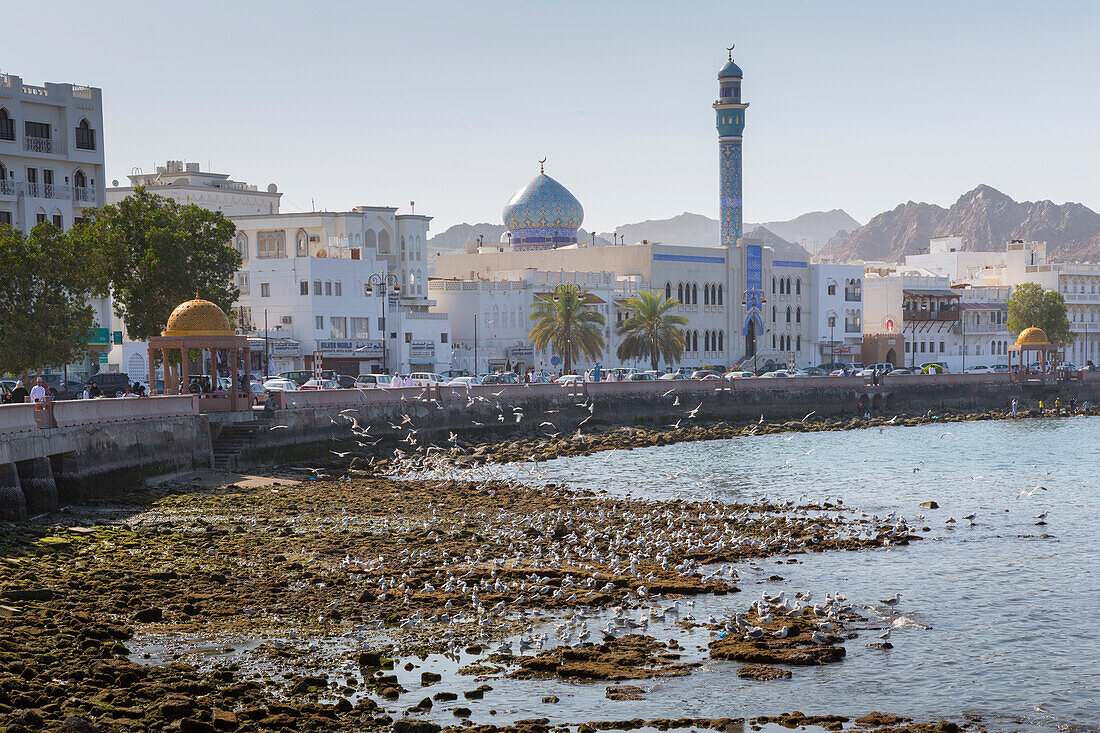 View of the Al Rasool Al Adham Mosque and Corniche at Muttrah, Muscat, Oman, Middle East