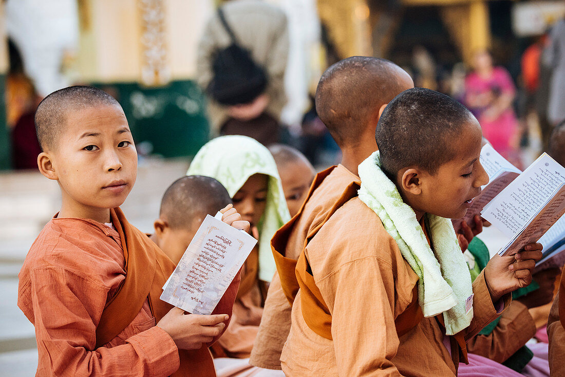 Novice Nuns chanting at Shwedagon Pagoda, Yangon (Rangoon), Myanmar (Burma), Asia