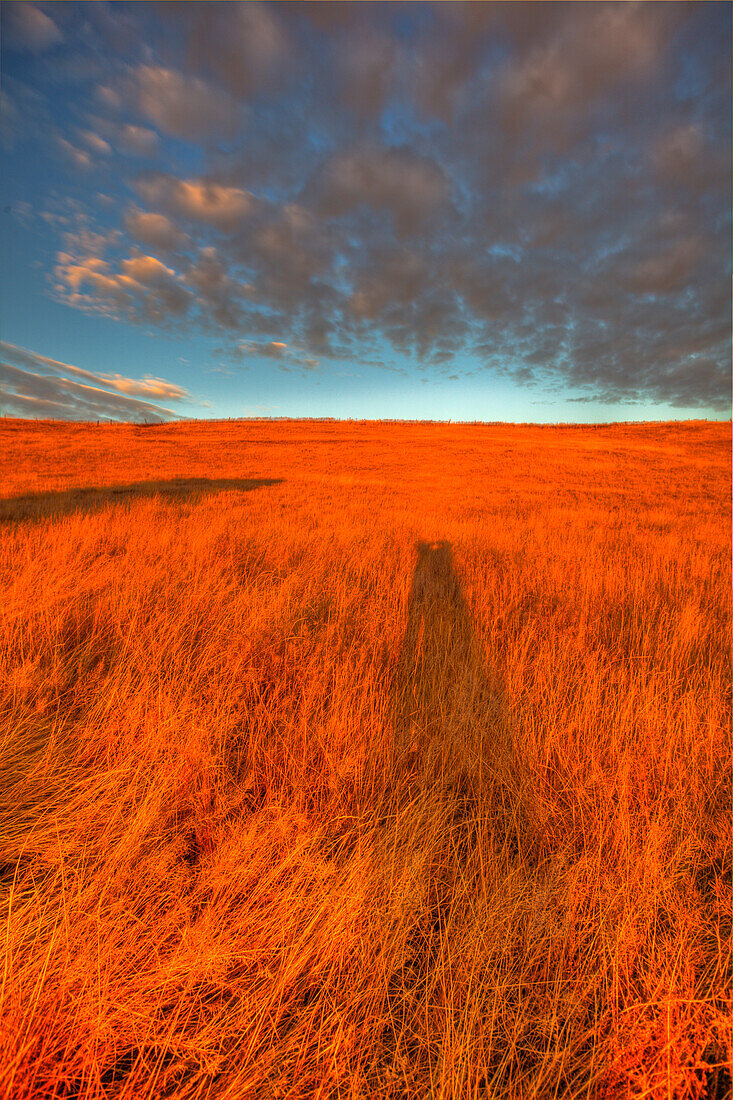 Ländliche Prairie-Szene bei Sonnenaufgang, mit weitem Bauernhof