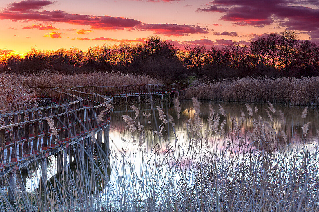 Sunset in National Park of Las Tablas de Daimiel