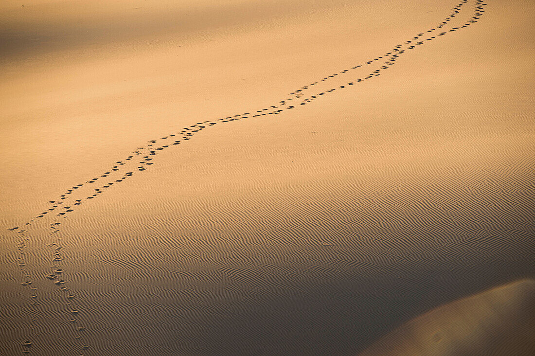 Foot prints in sand dunes at sunset