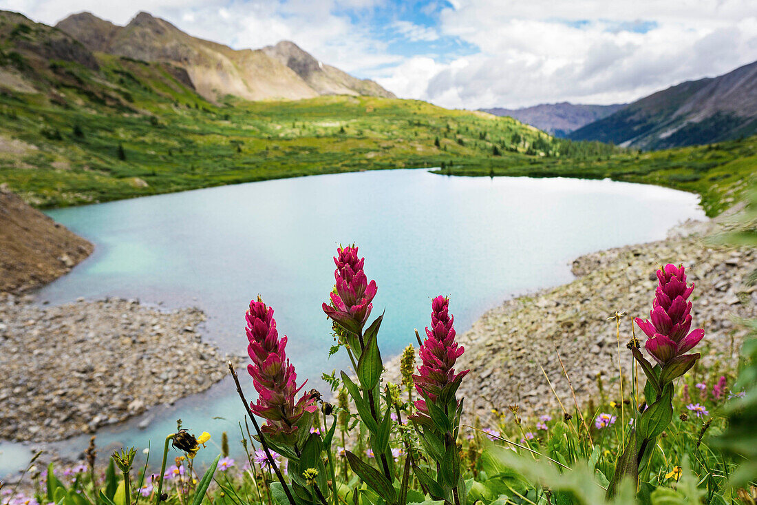 High alpine lake and spring flowers on a sunny spring afternoon