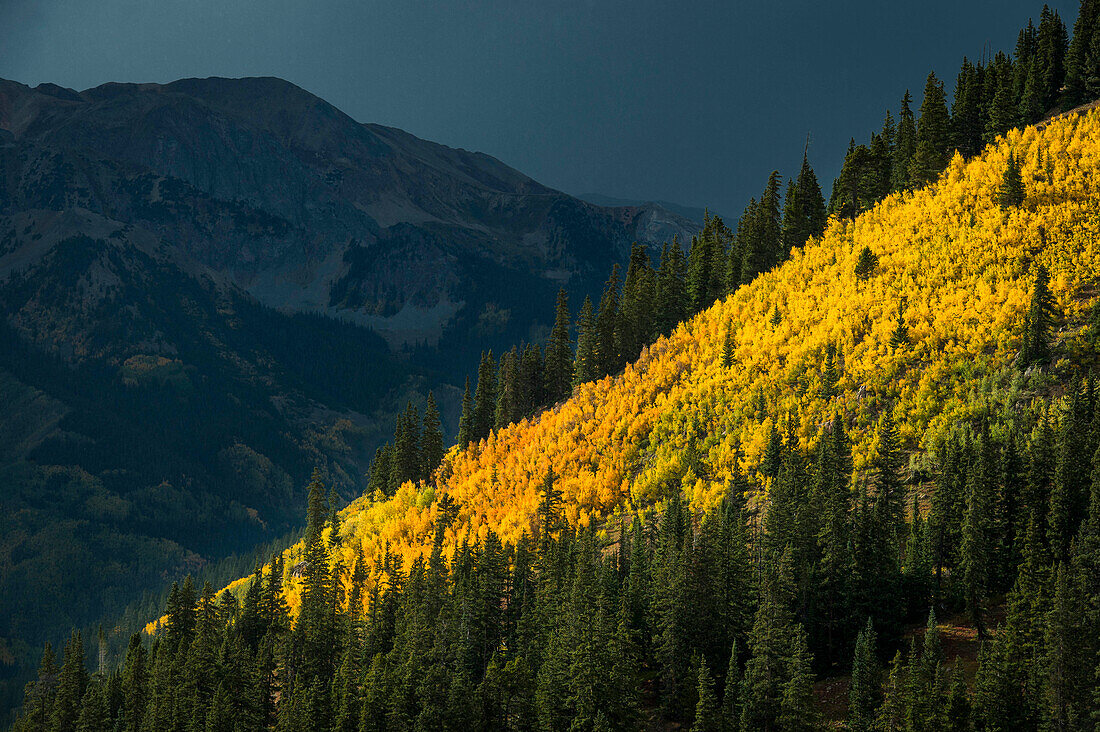 Fall colors in Aspen Colorado backcountry before a thunderstorm