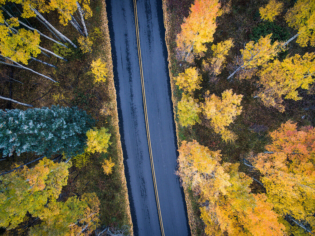 Aerial view of fall colors and a road in Aspen Colorado