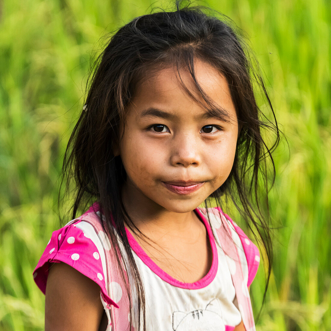 'Porträt eines jungen Südostasiatischen Mädchens; Luang Prabang Provinz, Laos'