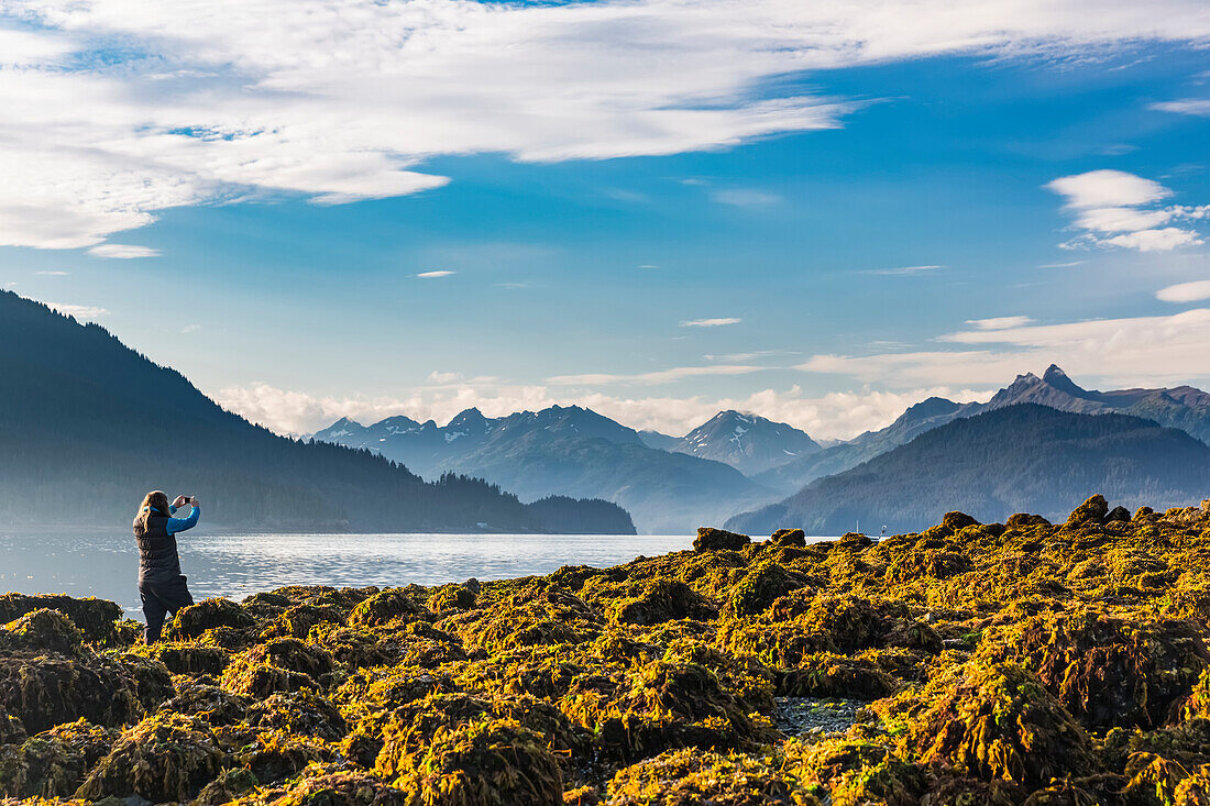 Woman standing on a rocky and kelp covered beach photographing the Kenai Mountains with her smart phone, Hesketh Island, Southcentral Alaska, USA