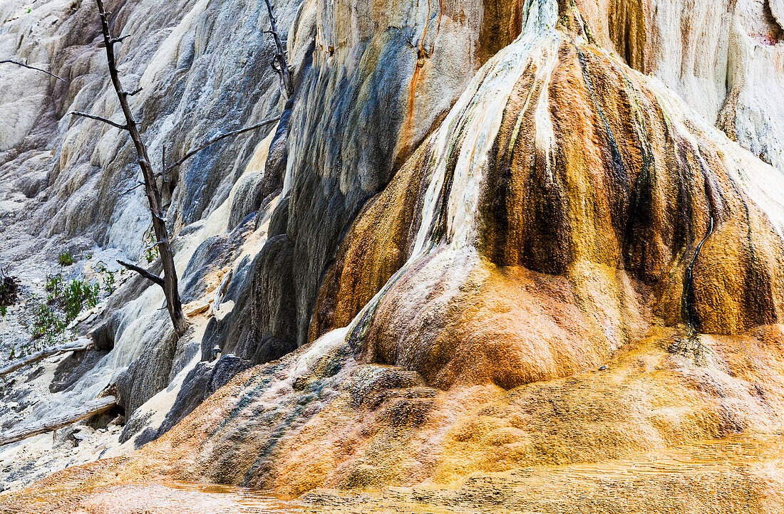 'Orange Spring Mound, Mammoth Hot Springs Terrace, Yellowstone National Park; Wyoming, United States of America'