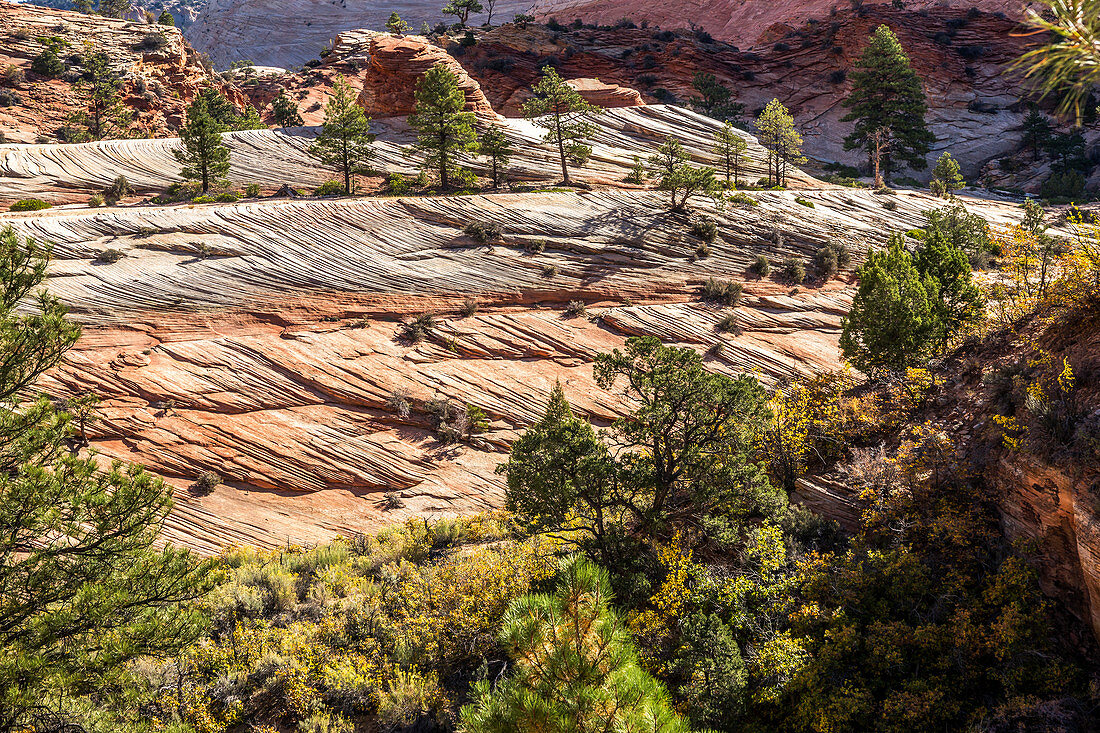 'Berg Carmel Autobahn, Zion Nationalpark; Orderville, Utah, Vereinigte Staaten von Amerika'