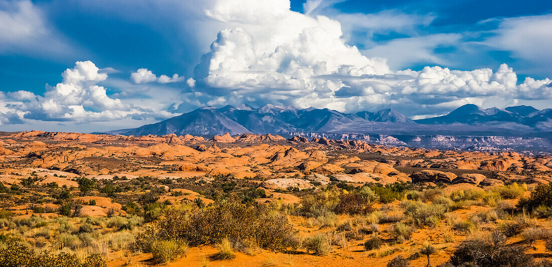 'Petrified Dünen Aussichtspunkt, Arches National Park; Moab, Utah, Vereinigte Staaten von Amerika'