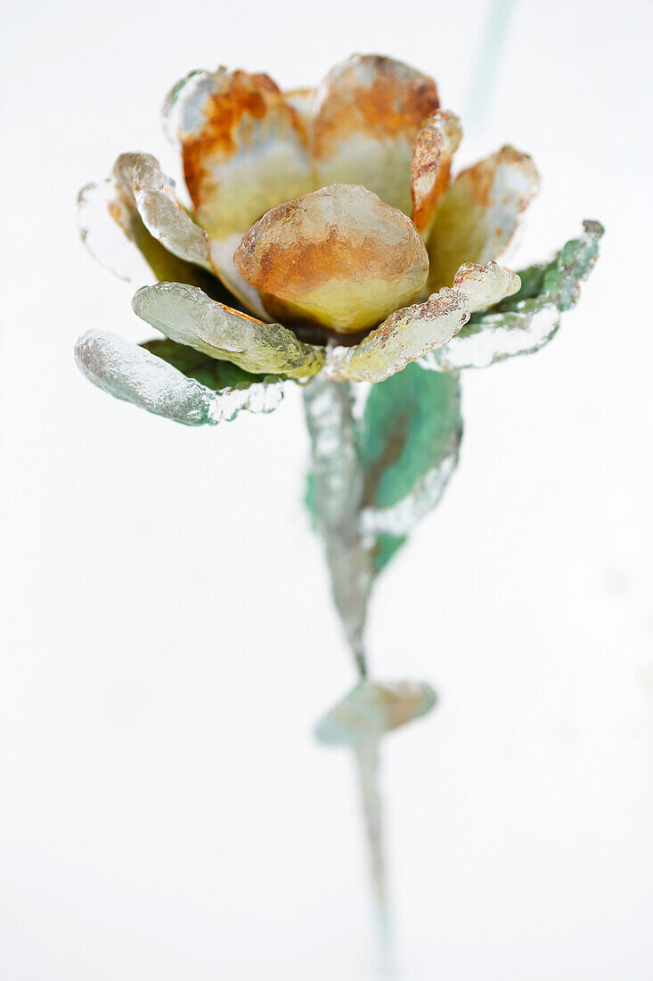 A metal flower encased in ice from an ice storm against a white background