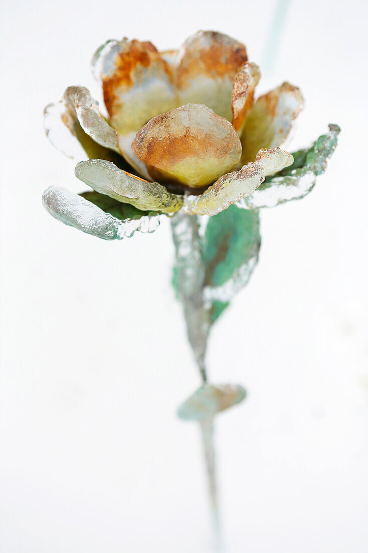 Eine Metall-Blume umhüllt in Eis von einem Eissturm vor einem weißen Hintergrund