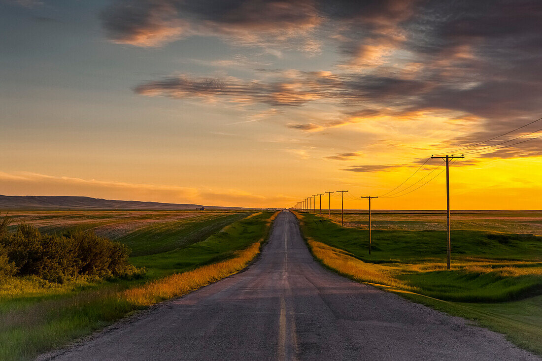 'Goldener Sonnenuntergang über Ackerland und eine ländliche Straße; Herschel, Saskatchewan, Kanada'