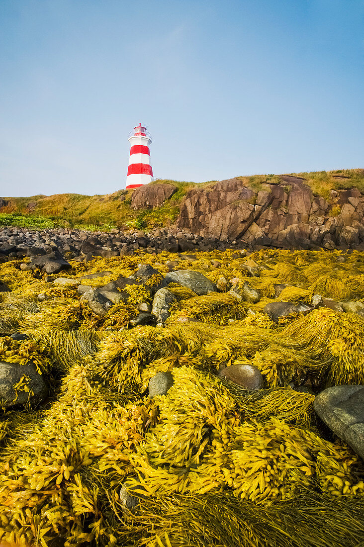 'Low tide at Brier Island Lighthouse, Bay of Fundy; Brier Island, Nova Scotia, Canada'