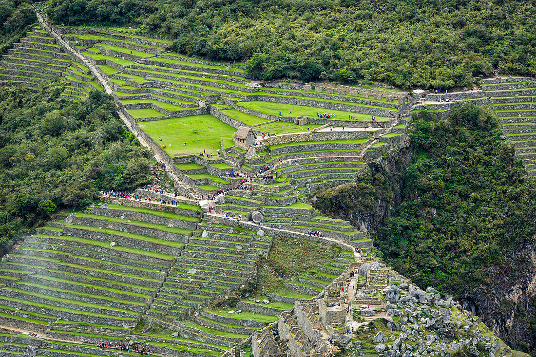 'Luftaufnahme der Machu Picchu Zitadelle; Cusco Region, Peru'