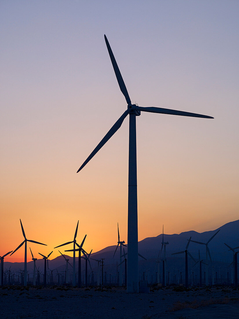 'Silhouette of wind turbines in a field with a mountain range in the distance at sunset; Palm Springs, California, United States of America'
