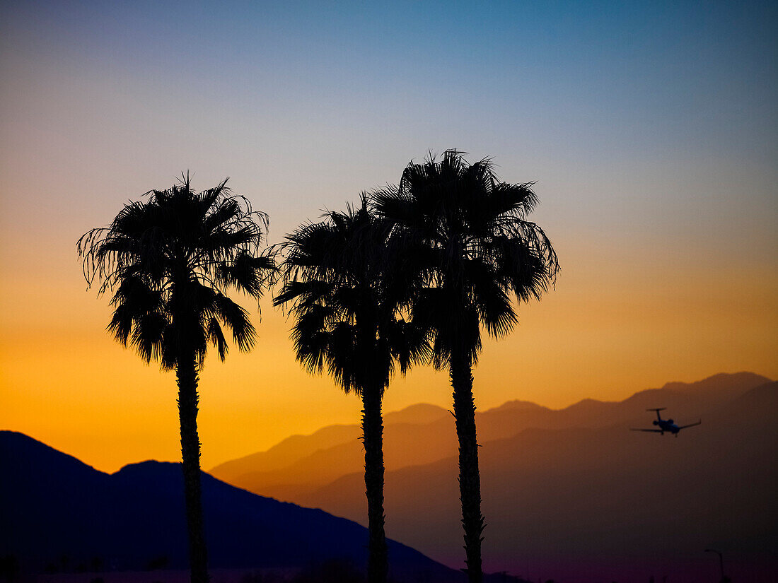 'Silhouette von drei Palmen und ein Flugzeug im Flug gegen Schichten von silhouetted Berge bei Sonnenuntergang; Palm Springs, Kalifornien, Vereinigte Staaten von Amerika'